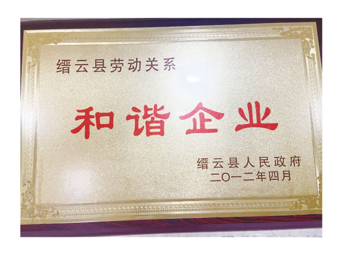 公司荣誉